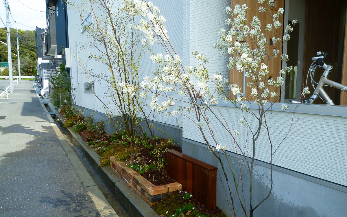 ジューンベリーとウリンの花壇施工例